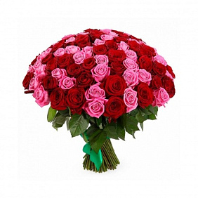 101 красно-розовая роза (50 см)