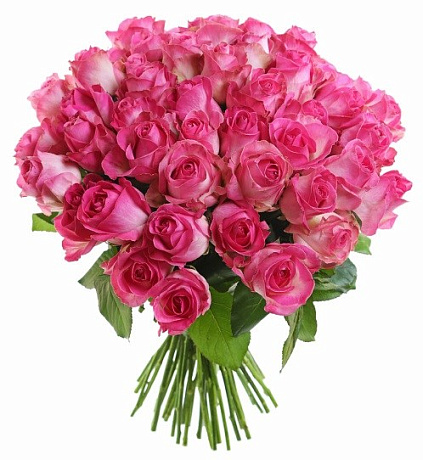 Букет из 41 розовой кенийской розы - Фото 1