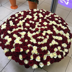 501 роза в вип корзине