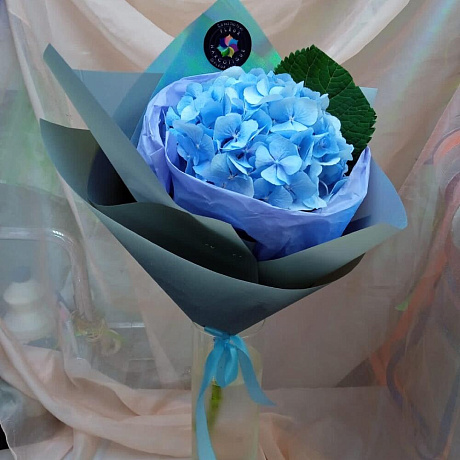Букет цветов голубая гортензия №164 - Фото 1
