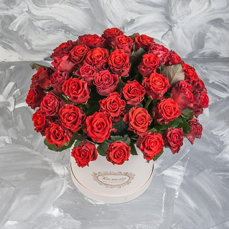 Коробка с Эльторо - Фото 1