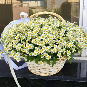 Корзина с ромашками №160