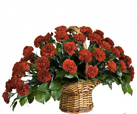 51 красная гвоздика в корзине