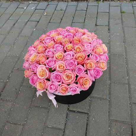 71 роза в черной коробке - Фото 1