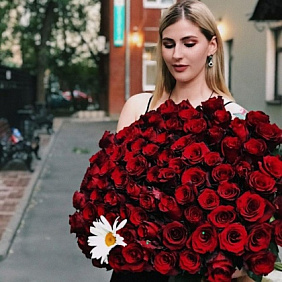 100 роз и ромашка
