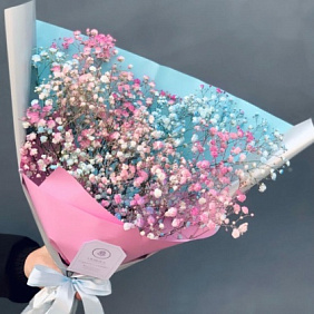 Розово-голубая гипсофила