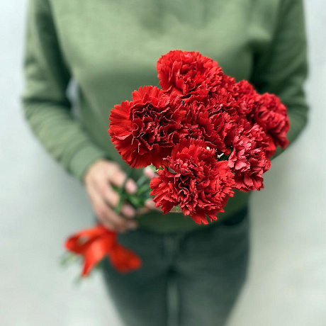 Букет 7 красных гвоздик - Фото 1