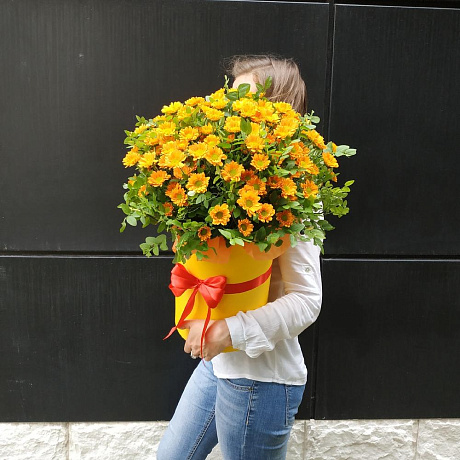 Букет цветов Солнечный день №161 - Фото 1