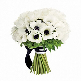 Букет из 55 белых анемонов
