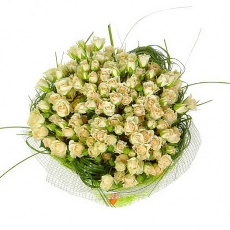 Букет из 25 кустовых роз с берграссом - Фото 1