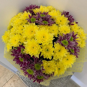 Хризантема микс №163