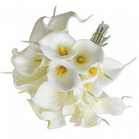 Букет "Нежные каллы"