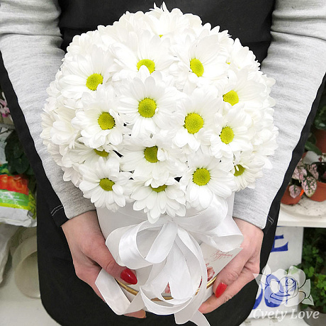 7 Белых хризантем в белой шляпной коробке №5 - Фото 1