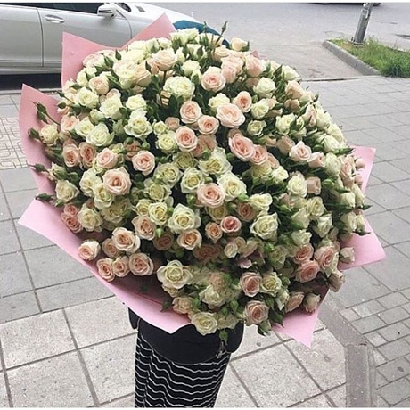 Нежные бутоны роз - Фото 1