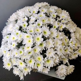 Букет с хризантемами №281