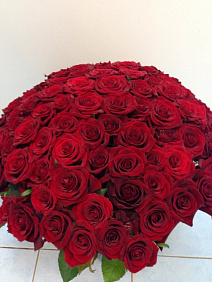 Большой букет из красных роз "Вечерний звон"