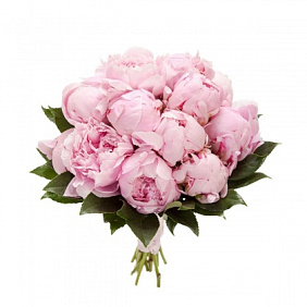 Букет пионов "Вербье"
