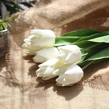 Букет 5 белых тюльпанов - Фото 1