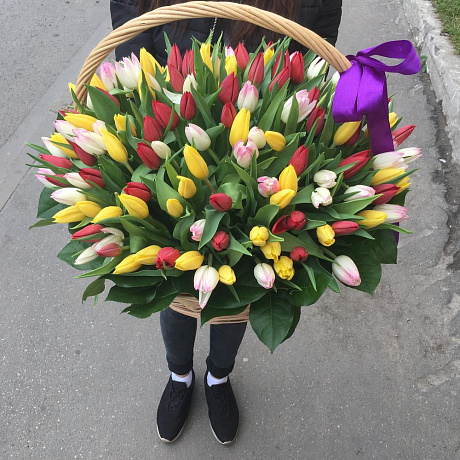Корзина с тюльпанами №164 - Фото 1
