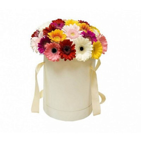 11 гербер в белой шляпной коробке №684