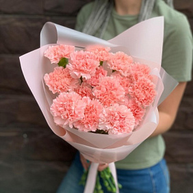 Розовые гвоздики