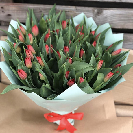 Букет из 51 тюльпана №161 - Фото 1