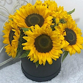 Подсолнухи в черной шляпной коробке