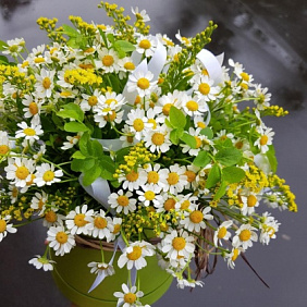 Композиция цветов "Ромашки"