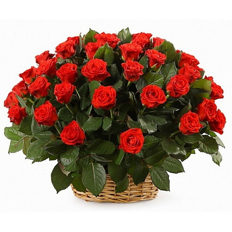 101 роза Эль Торро в корзине - Фото 1