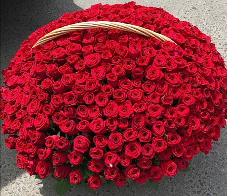 Композиция 301 красная роза в корзине - Фото 1