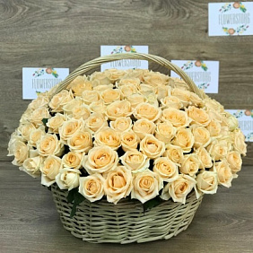 Корзины с цветами.  Кремовые розы. 151 роза. N377