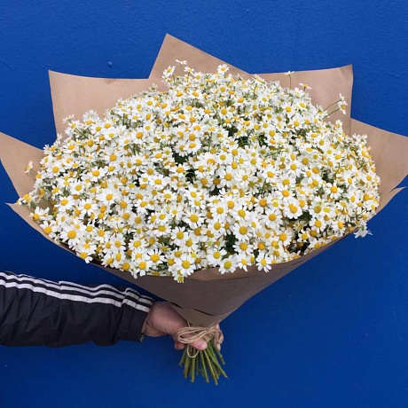 Букет из Ромашик Камилла - Фото 1