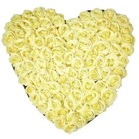 Сердце из 51 белой розы - Фото 1