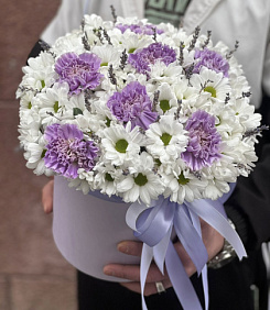 7 Белых Ромашковых хризантем в сиреневой шляпной коробке №155