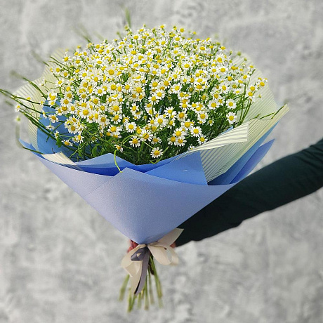 Летний букет ромашек в голубой упаковке №160 - Фото 1