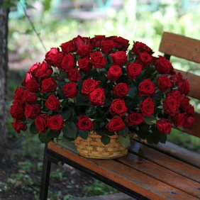 Букет из 101 красная роза в корзине №162