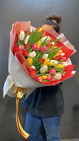 Букет 51 Тюльпан Микс