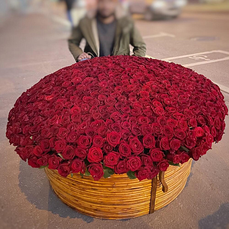 гигантский букет 801 красная роза в корзине - Фото 1
