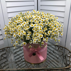 Коробка с ромашками №160