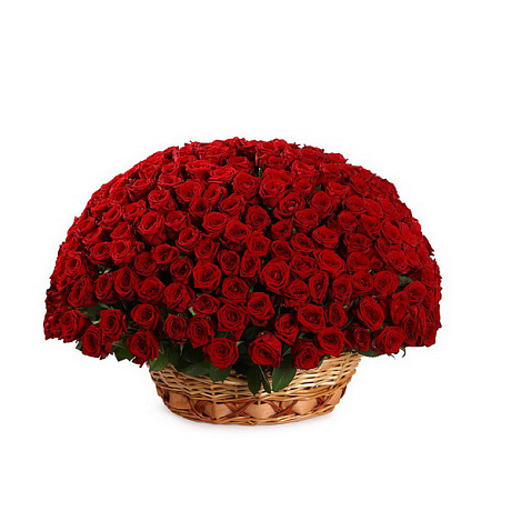Букет из 201 красной розы в корзине - Фото 1