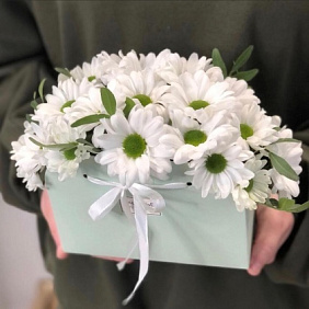 Хризантема №167