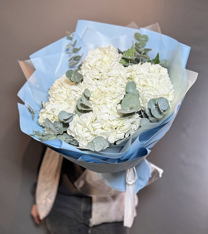 Горделивые Гортензии (5 шт) - Фото 1