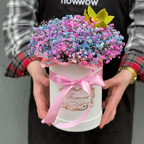 Гипсофила в коробке №162