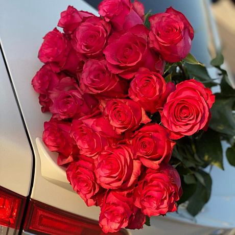 Роза лола - Фото 1