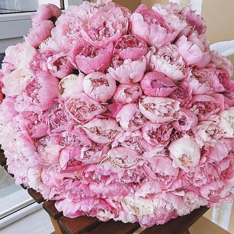 Букет дня Розовые облака - Фото 1