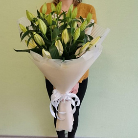 Букет из 9 белых лилий №160