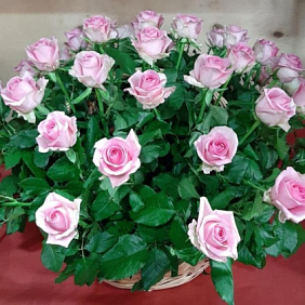 Корзина с розами №163