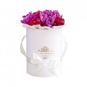 9 пионов ассорти в маленькой белой шляпной коробке №777