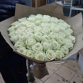 51 белая роза 60 см (Аваланж)