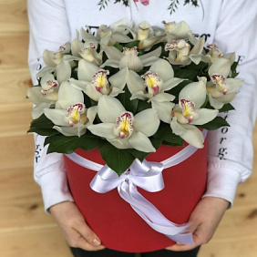 Коробки с цветами. Орхидея. Цимбидиум. N466